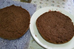 Tort Luxita