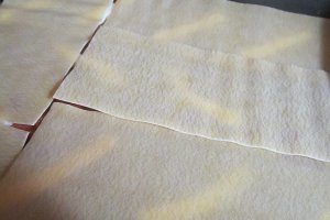 Lasagna cu ton
