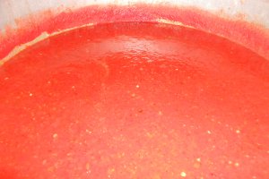 Ketchup iute