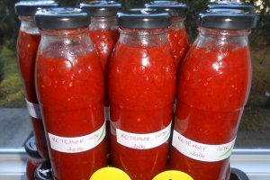 Ketchup iute