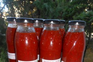 Ketchup iute