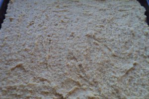 Prajitura cu crema de nuca si gris