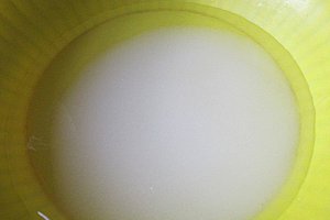 Negresa cu gem de prune ( de post )