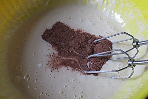 Negresa cu gem de prune ( de post )