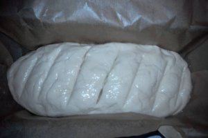 Paine pufoasa