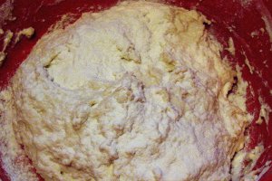 Paine rapida (fara framantare)
