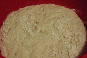 Paine rapida (fara framantare)
