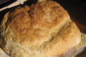 Paine rapida (fara framantare)