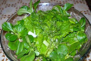 Salata 
