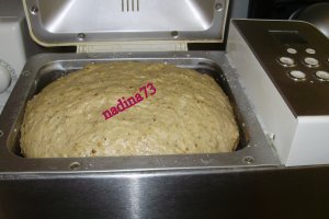 Fiammingo con noci