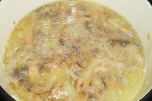 Escalop de ciuperci cu cotlet de porc