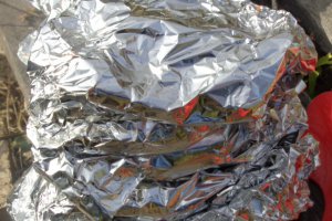 Somn en-papillote