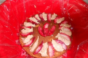 Tort Duo