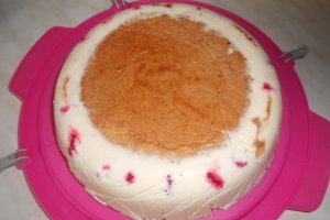 Tort Duo