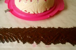 Tort Duo