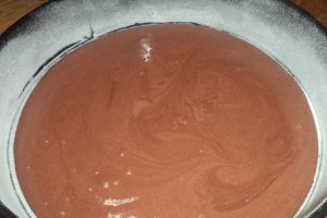 Tort cu ciocolata si rodie