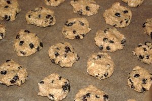 Biscuiti fragezi, cu fulgi de ovaz