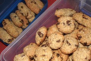 Biscuiti fragezi, cu fulgi de ovaz