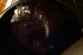 Fudge de ciocolata cu sirop de artar-2