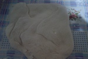 Placinte cu branza