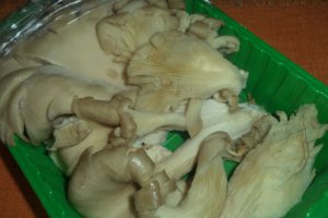 Salata de pleurotus cu maioneza si marar