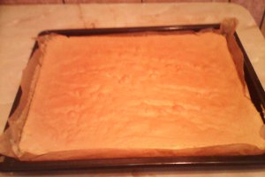 Tort aniversar cu crema de ness