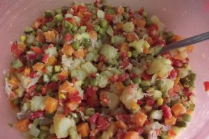 Salata asortata cu legume, ton si maioneza
