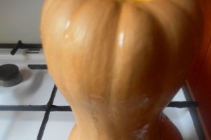 Cheesecake cu dovleac si fructe de padure