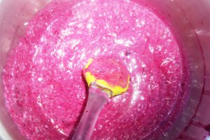 Cheesecake cu dovleac si fructe de padure