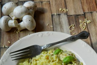 Risoni cu piept  de pui si ciuperci