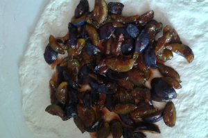 Palanet cu prune