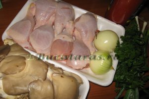 Tocanita cu pui si pleurotus