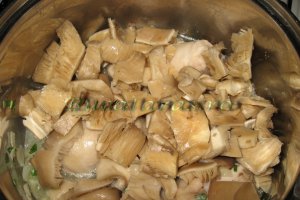 Tocanita cu pui si pleurotus