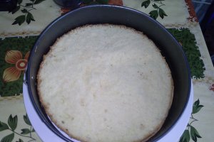 Tort  de ciocolata alba