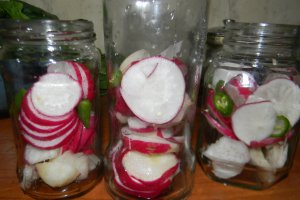 Salata de ridichi rosii murate