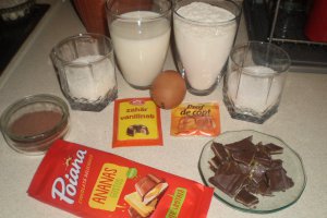 Briose cu ciocolata si nuca de cocos