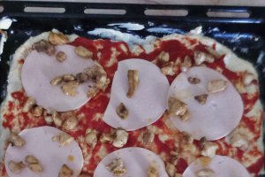 Pizza cu pui
