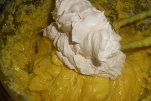 Tort Cremsnit