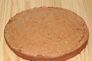 Tort mascota