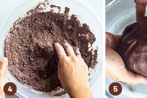 Biscuiti de casa cu cacao