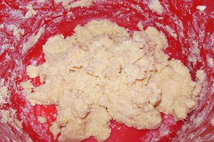 Fursecuri cu nuca de cocos si ciocolata
