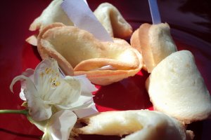 Chinese fortune cookies