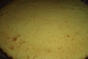 Tarta cu fructe si crema de lapte cu tapioca