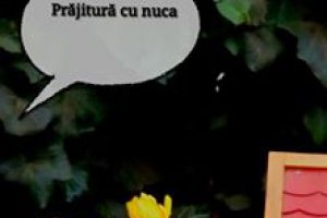 Prajitura cu nuca si ciocolata
