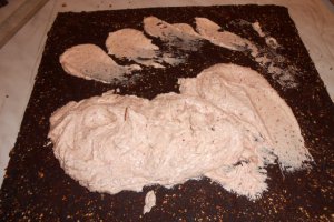 Rulada de biscuiti cu merisoare