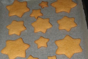Biscuiti cu suc de rosii