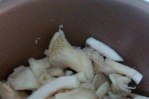 Mancarica de ciuperci pleurotus