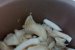 Mancarica de ciuperci pleurotus-1