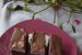 Prajitura cu blat de cacao,  crema de mure si ciocolata-1