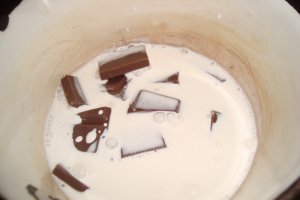 Tort Ecler